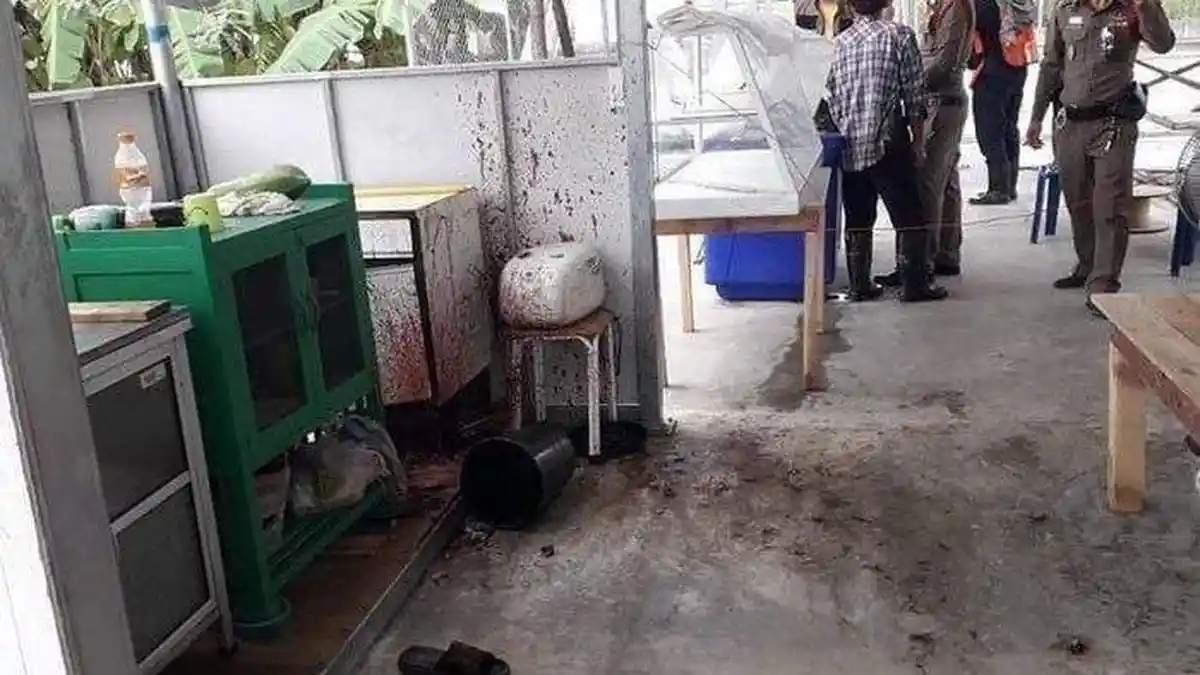 Terungkapnya Warung Mie Rebus Toping Daging Manusia, yang Memakannya Akan Alami Penyakit Ini