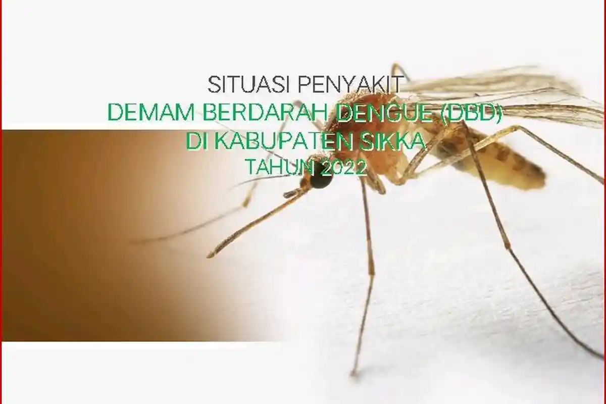 Kasus DBD di Sikka, Dinkes Catat hingga November 2022 Ada 406 Kasus DBD, 3 Orang Meninggal Dunia