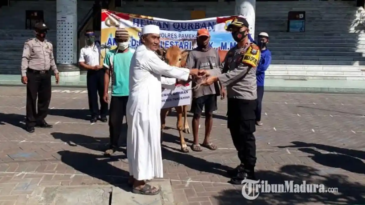 Kapolres Pamekasan Berikan Bantuan 10 Hewan Kurban ke Ponpes, Disembelih pada Hari Raya Idul Adha