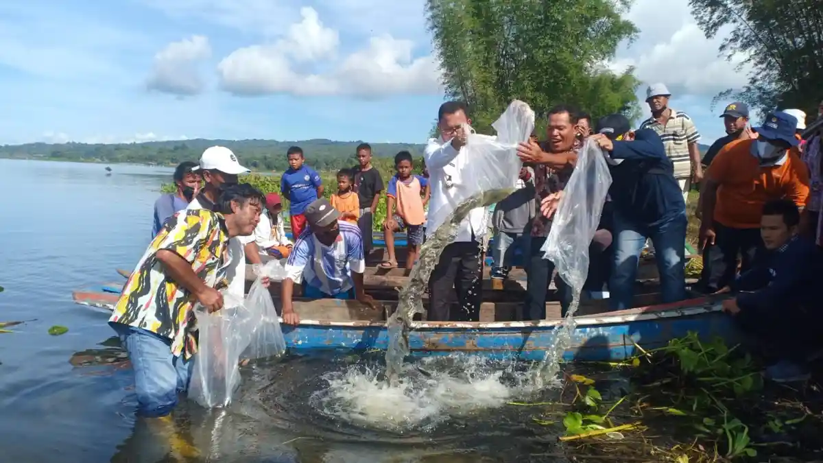 SELURUH Kepala Daerah di Kawasan Danau Toba Bakal Tabur Benih Ikan
