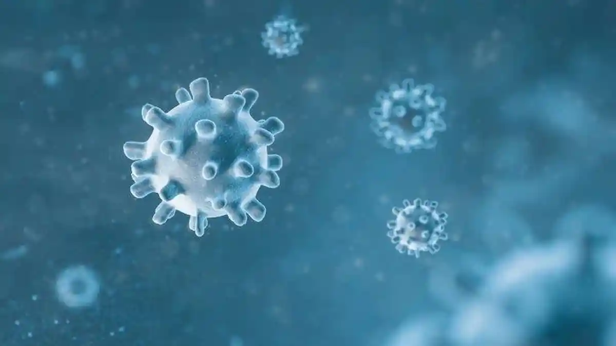Apa itu Virus Human Metapneumovirus atau HMPV, Gejala dan Penyebanya?