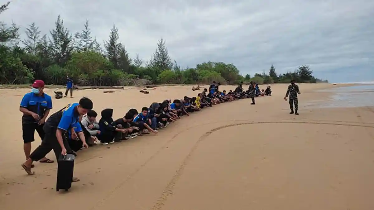 Karang Taruna Lepas Ratusan Tukik Penyu di Pantai Paloh