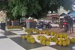 Musim Durian di Taliabu, Harga Murah Mulai 7 Buah Rp50 Ribu