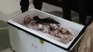 Daging-sapi-ditolak-masuk-ambon.jpg