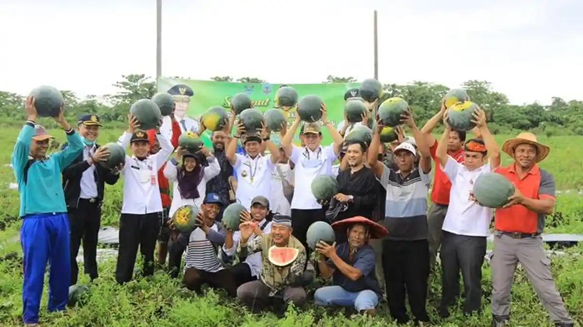Omzet Menjanjikan, Gubernur Kaltara Zainal A Paliwang Ajak Generasi Muda untuk Bertani