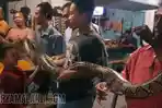 ular-piton-warga-desa-randuagung-kecamatan-kebomas-gresik.jpg