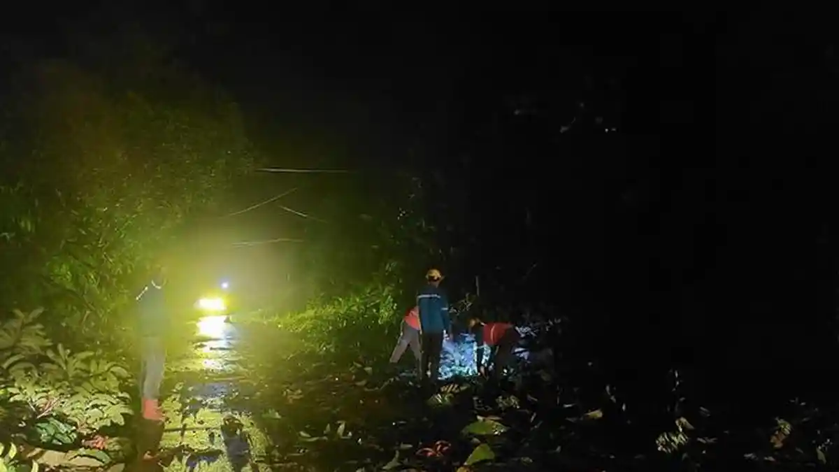 Gerak Cepat PLN Pulihkan Listrik 100 Persen Pasca Longsor di Bengkayang