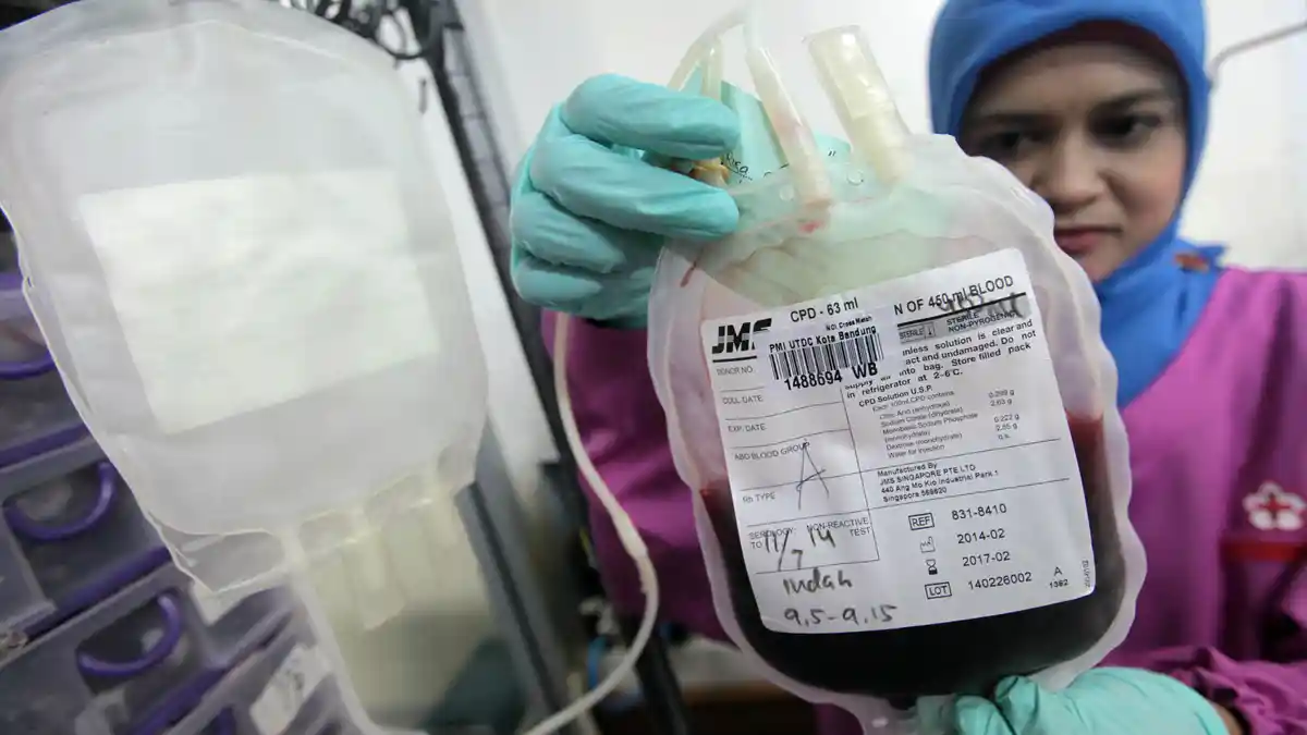 Persediaan Sel Darah Merah Pekat di PMI Kota Bekasi Menipis