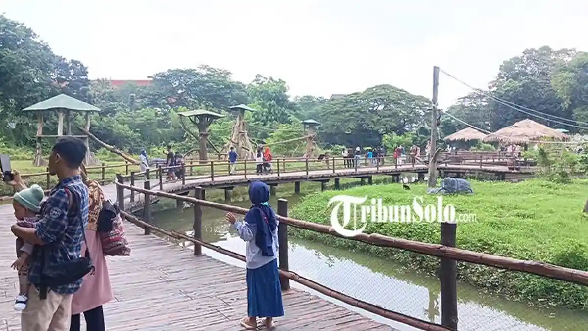 Libur Imlek 2025 Dongkrak Kunjungan Wisata, Pengunjung Solo Safari Capai 4 Ribu Orang Sehari