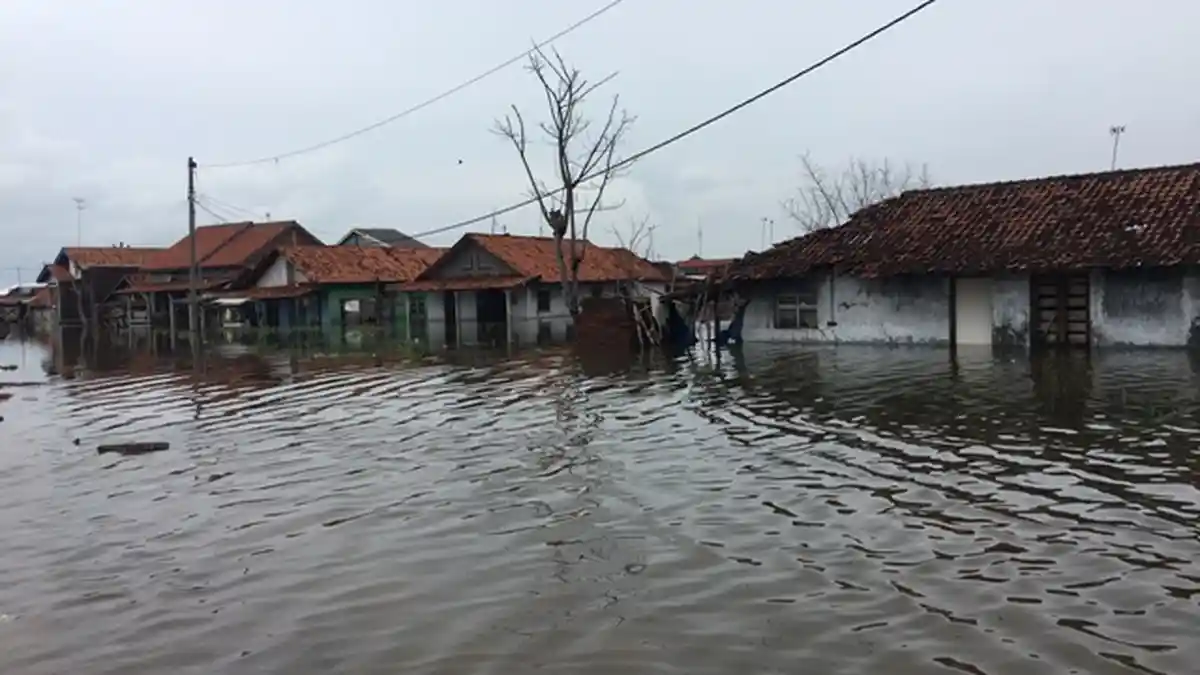 Permukaan Tanah di Pekalongan Turun Hampir Setengah Meter Tiap Tahun, Banjir Rob Jadi Momok