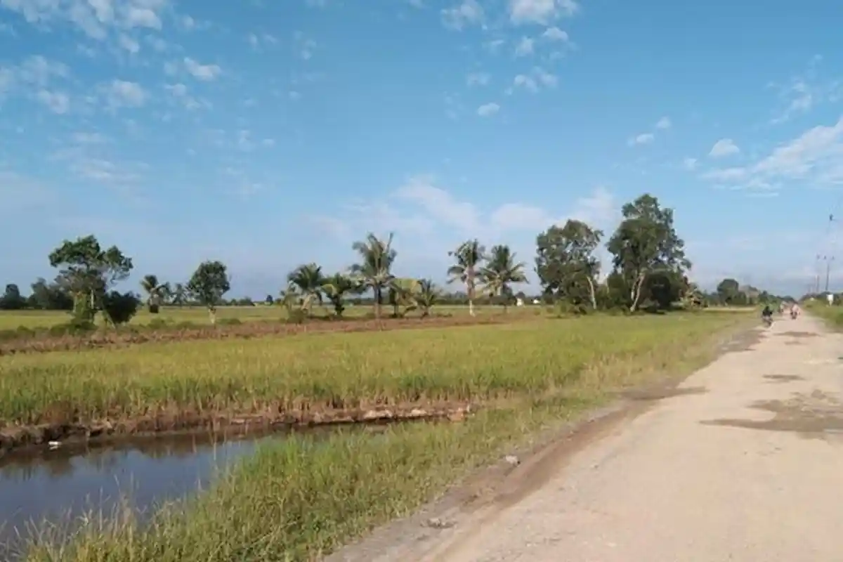 Efek Buruk Jika Bendungan Telake tak Direalisasi, Lahan Pertanian Dikhawatirkan Jadi Lahan Properti