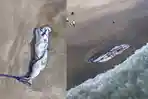 ws-bhedrnjrdetmjkrftykmty.jpg