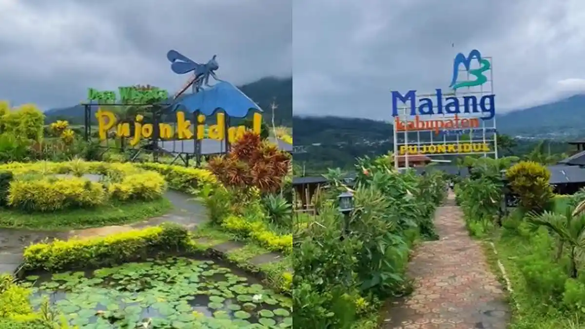 Malang Jatim Punya Wisata Seasri Ini, Dilengkapi Wahana Seru, Cuma 25 Menit dari Museum Angkut