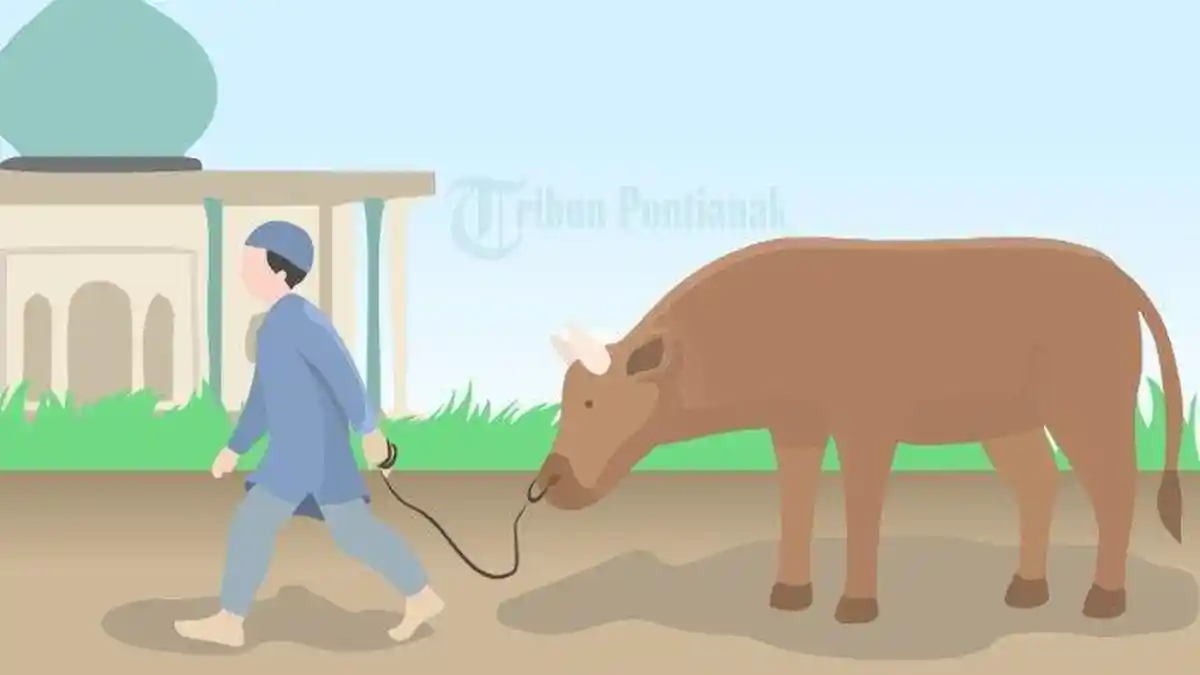 DOA Menyembelih Sapi Kurban untuk 7 Orang Saat Idul Adha 1445 Hijriah