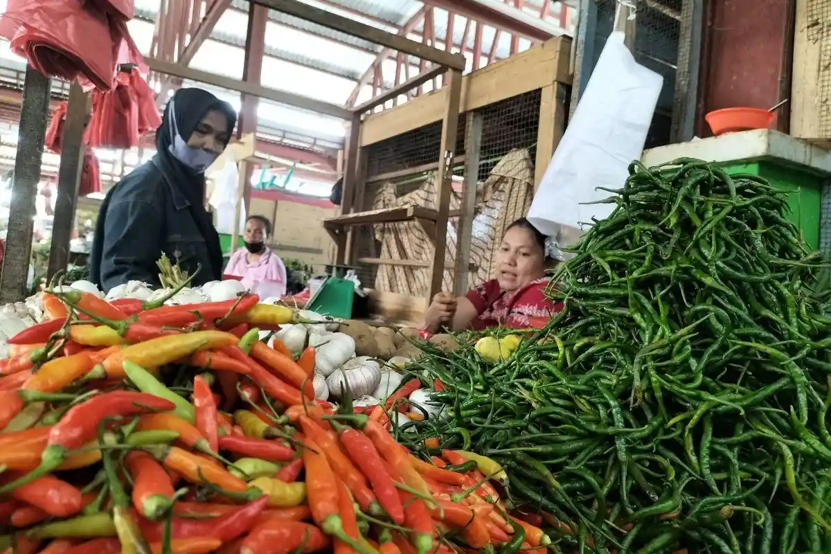 Harga Cabai, Bawang, Ayam di Jambi Selasa (23/8/2022), Cabai Naik Lagi Jadi Rp 60-70 Ribu per Kg