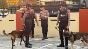 2-anjing-pelacak-peres-dan-bono.jpg