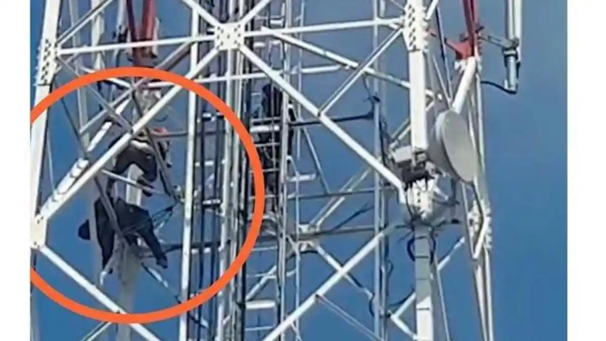 Gagal Ketemu Pacar Online yang Baru Dikenal 2 Hari, Pria Ini Nekat Panjat Tower Jaringan, Endingnya