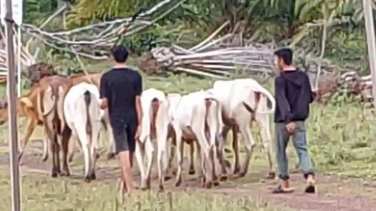 Kuliah Gratis Hingga Makan dan Asrama Ditanggung, AKPJ Tanahlaut Buka Pendaftaran Mahasiswa Baru - Banjarmasinpost.co.id