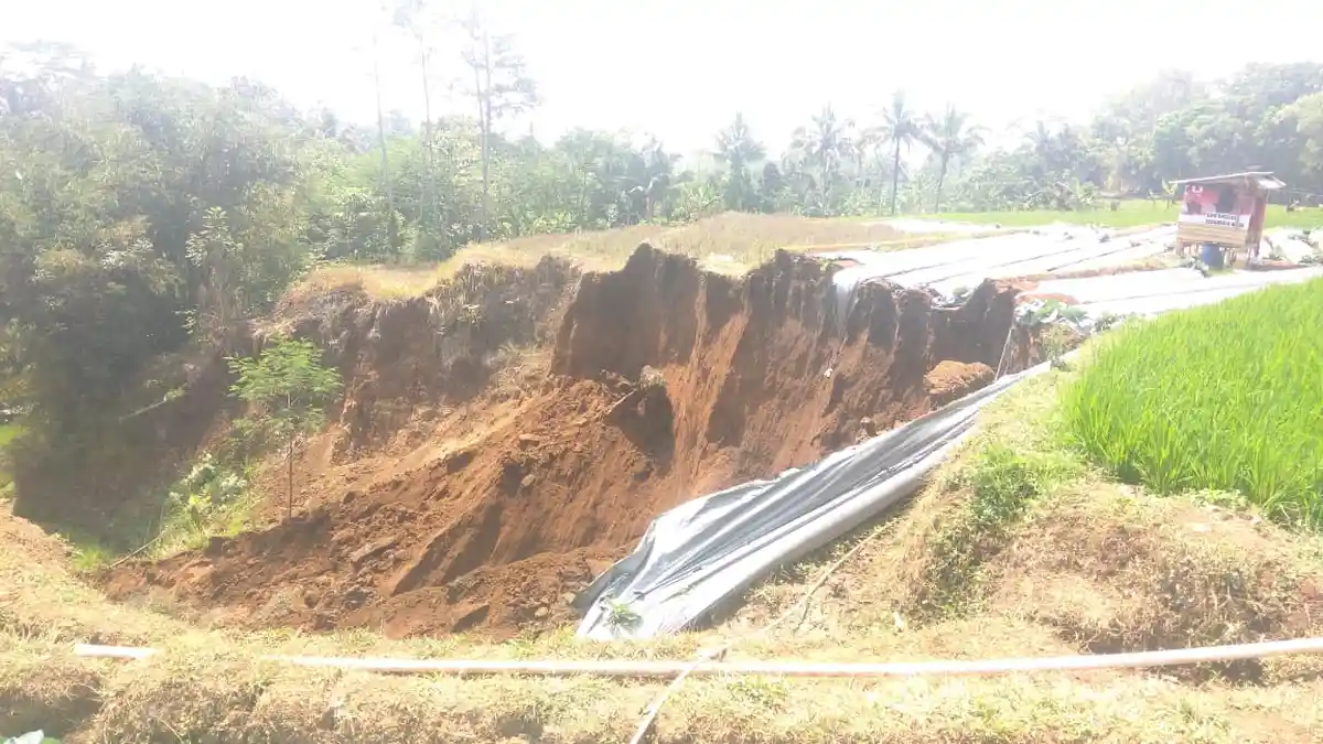 Longsor di Desa Karangmukti Tasikmalaya, Lahan Sawah Terancam Tak Terairi