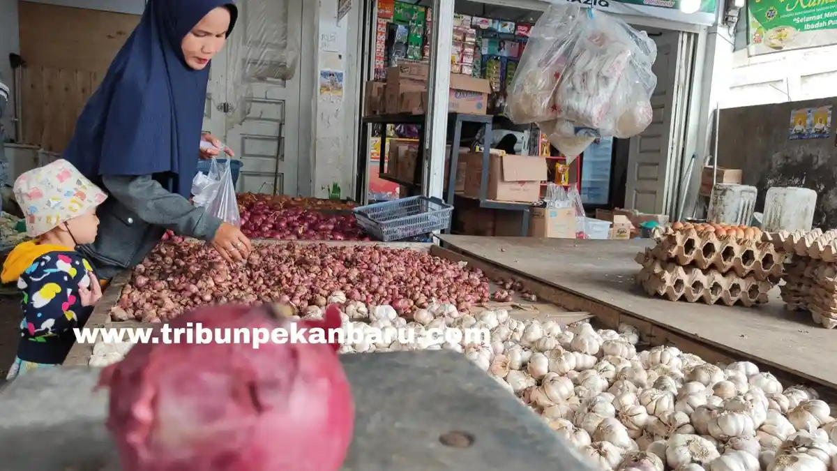 FOTO: Harga Bawang Merah di Pekanbaru Naik - FOTO_Harga_Bawang_Merah_di_Pekanbaru_Naik_2.jpg