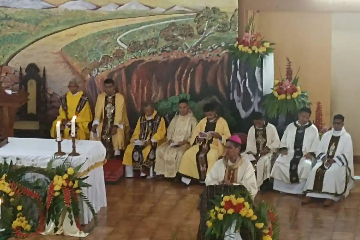 Tahbiskan Imam di Ledalero Flores, Mgr Vincentius: IFTK Ledalero Sumber Harapan