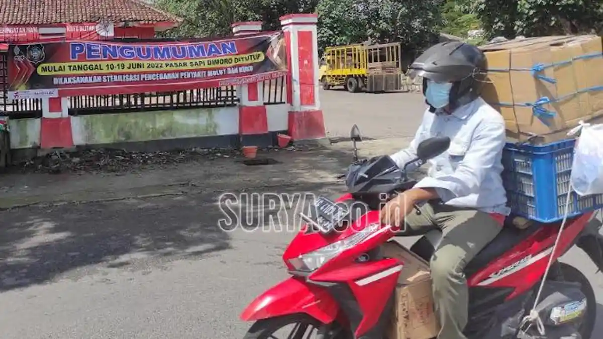 Masuk Daerah Tertular, Ada 96 Ekor Sapi di Kota Blitar Suspek Penyakit Mulut dan Kuku