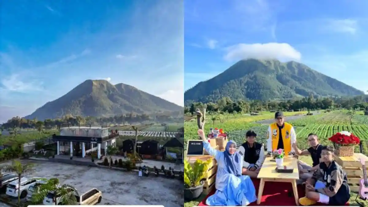 Magelang Punya Kafe dengan View Seelok Ini, Sarapan Ditemani Panorama 6 Gunung, 1 Jam dari Alun-alun