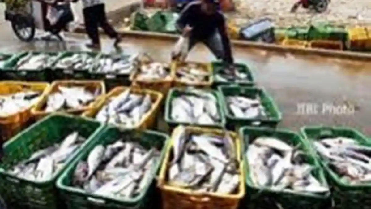 Belum Ada Penerbangan, Pengiriman Ikan dari Jambi Beralih ke Palembang