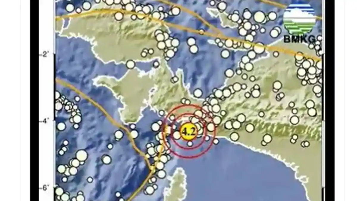 Gempa Terkini Magnitudo 4,2 Guncang Papua Kamis Malam