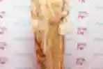 Dian Pelangi