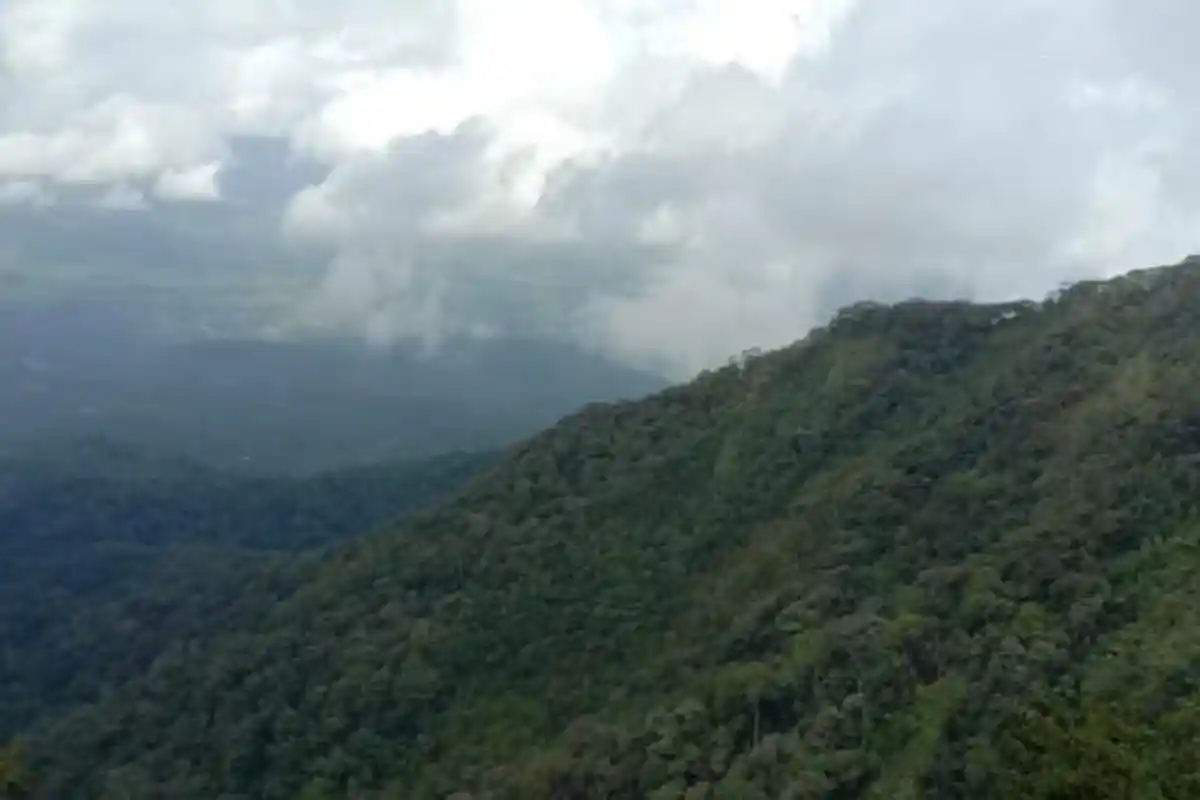 Kunjungan Wisatawan ke Gunung Pesagi Lampung Barat Meningkat pada Oktober 2022