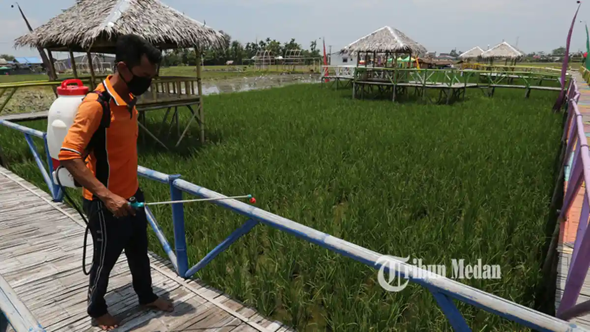 BERITA FOTO Cegah Penyebaran Virus Corona, Wisata Kampung Sawah Pematang Johar Disemprot Disinfektan - penyemprotan-disinfektan-di-tempat-wisata.jpg