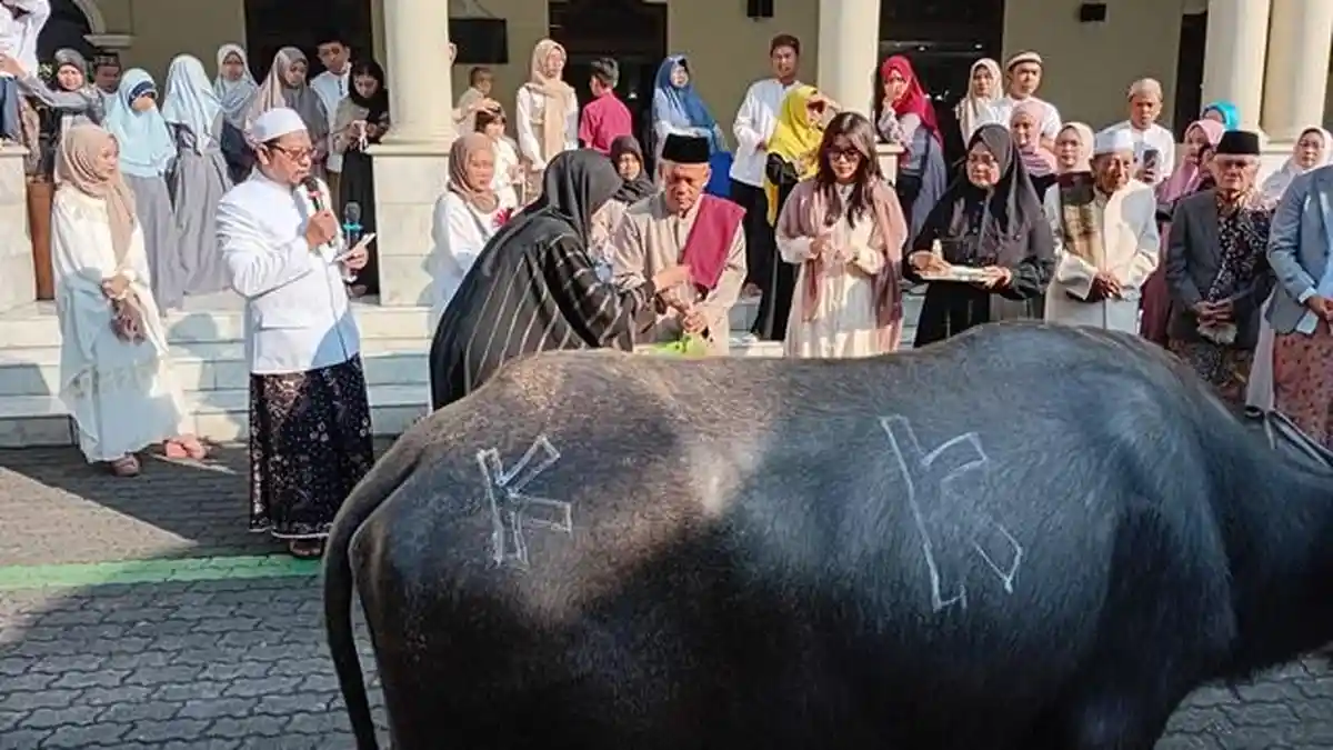 Masjid Agung Kudus Potong Kurban Masing-masing Sembilan Kambing dan Kerbau