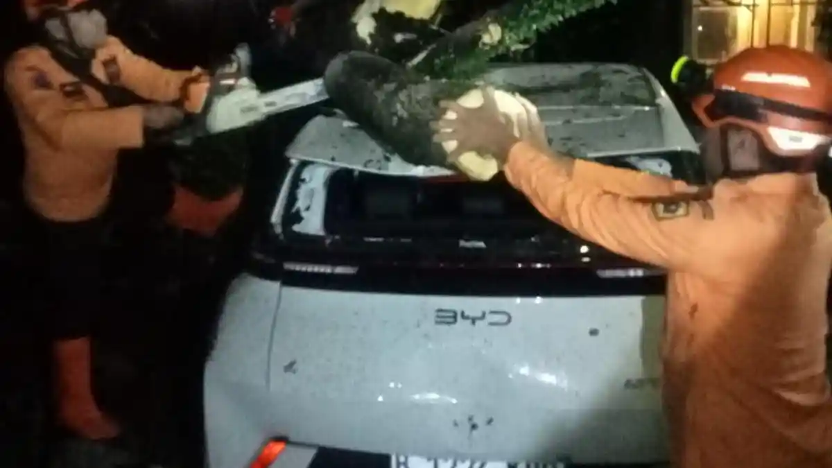 Akibat Cuaca Buruk, Mobil Listrik Ringsek Tertimpa Pohon di Gunungputri Bogor