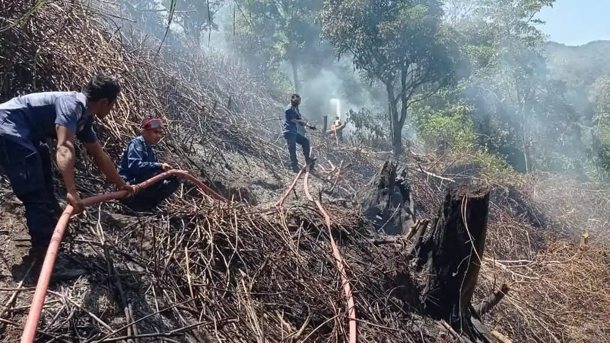 Awal Oktober 2021, 6 Hektare Lahan Terbakar di Bener Meriah