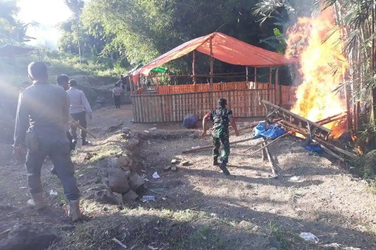 Kakek 64 Tahun di Lombok Tengah Diamankan Polisi Saat Judi Sabung Ayam