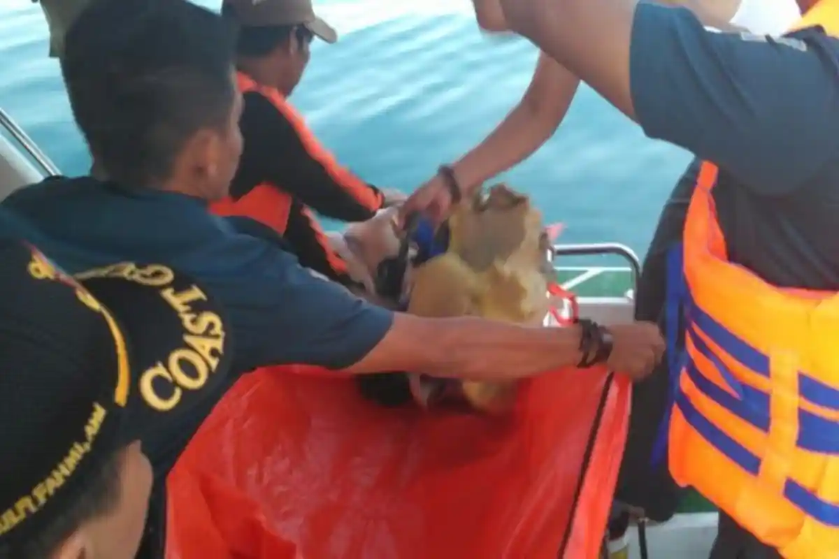 Dua Kantong Jenazah Dibawa ke Batam, Salah Satu Korban Tubuhnya Masih Utuh