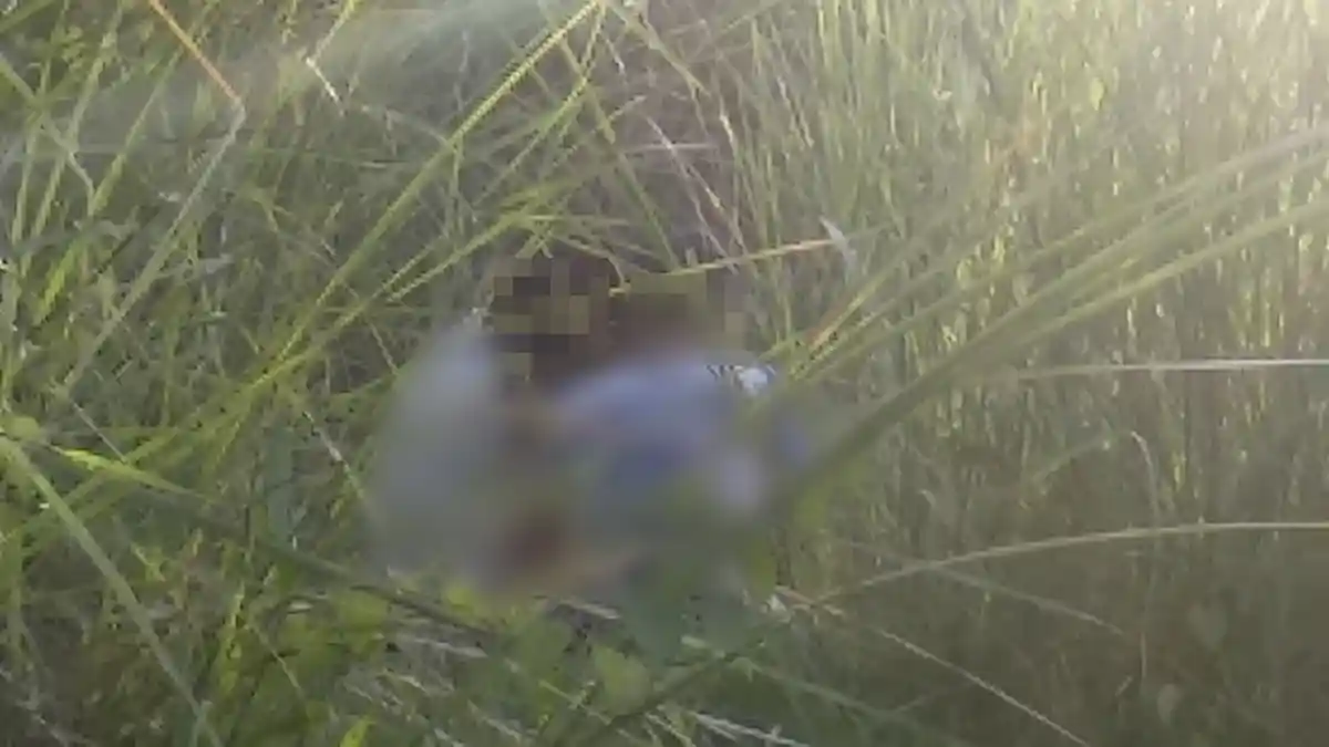 Wanita 41 Tahun Itu Melahirkan Bayinya Saat Hujan Deras di Semak-semak Tanpa Bantuan Siapapun