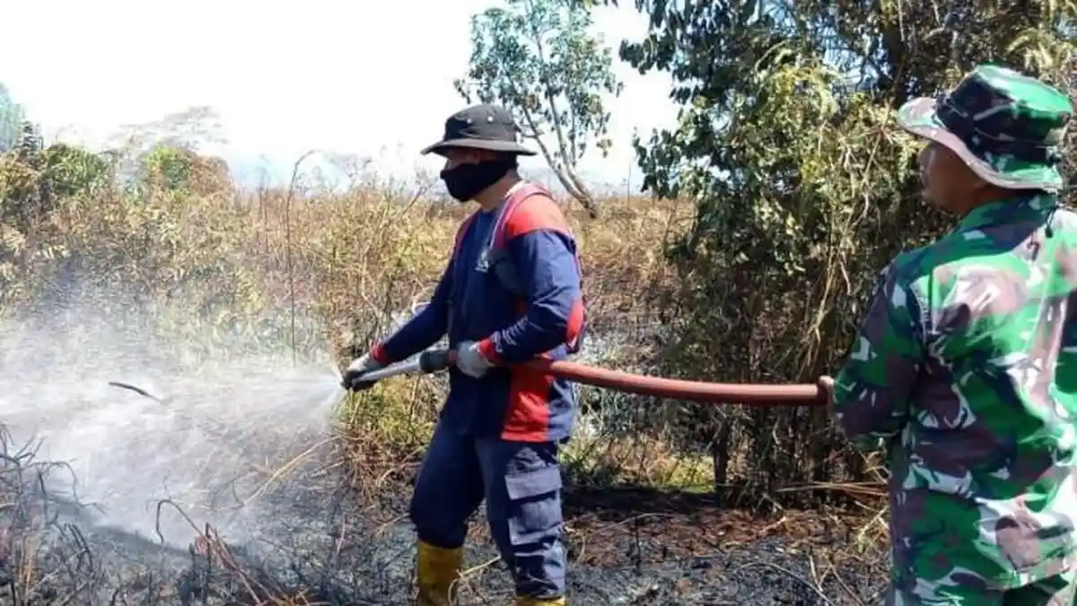 Karhutla Meluas di Aceh Barat, Titik Api Baru Muncul di Dua Wilayah