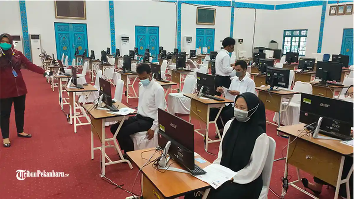 Pendaftaran CPNS 2023 Dibuka Bulan Juni? Cek Info Terbaru Formasi yang Dibutuhkan