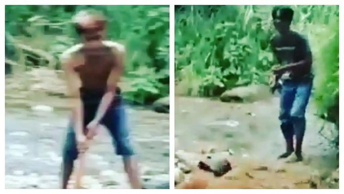Viral Sekelompok Pemuda Menyiksa Satwa Langka Primata, BKSDA Lakukan Investigasi