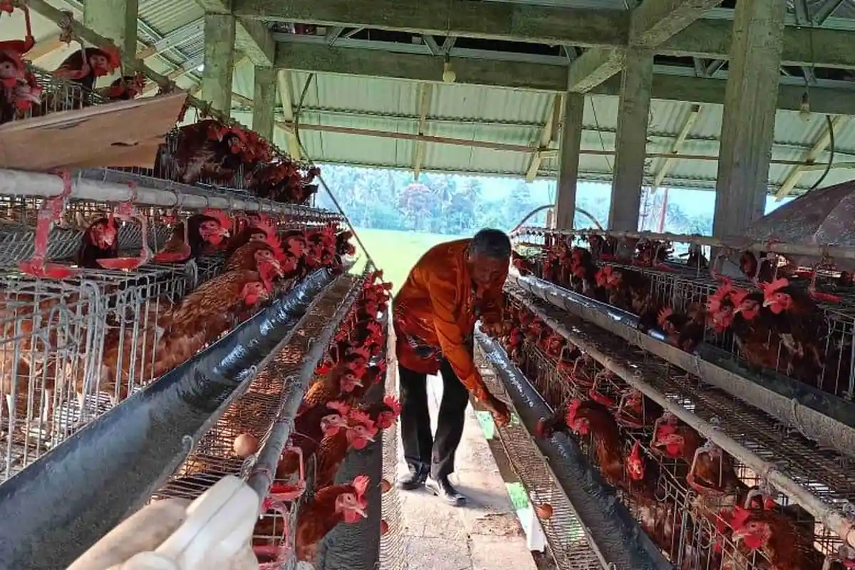 Pondek Pesantren di Toili Barat Banggai Nikmati Program SJSP Sektor Peternakan