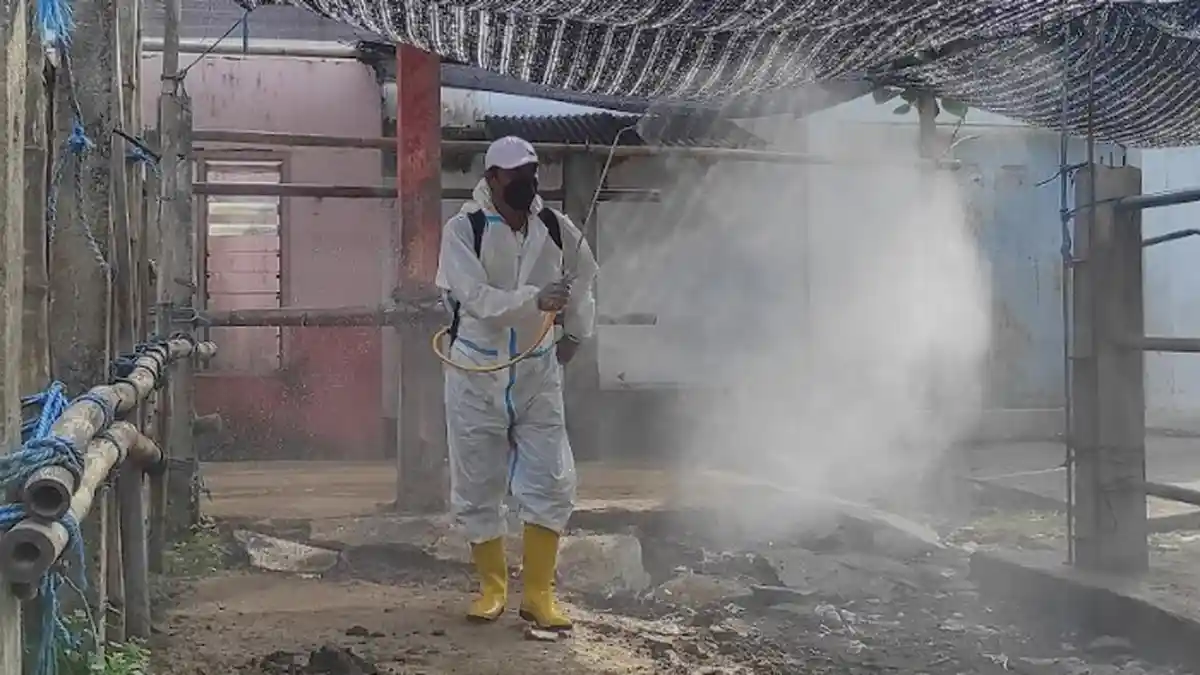 Meski Kasus PMK Melandai, Pemkot Blitar Belum Berencana Buka Kembali Pasar Sapi Dimoro