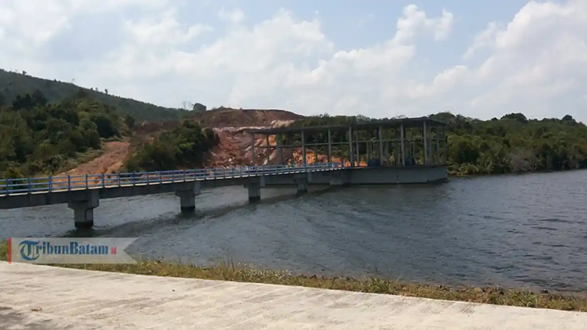 Disebut-sebut Jadi Solusi Atasi Krisis Air, Mantan Kepala BP Batam Tanggapi Soal Dam Tembesi