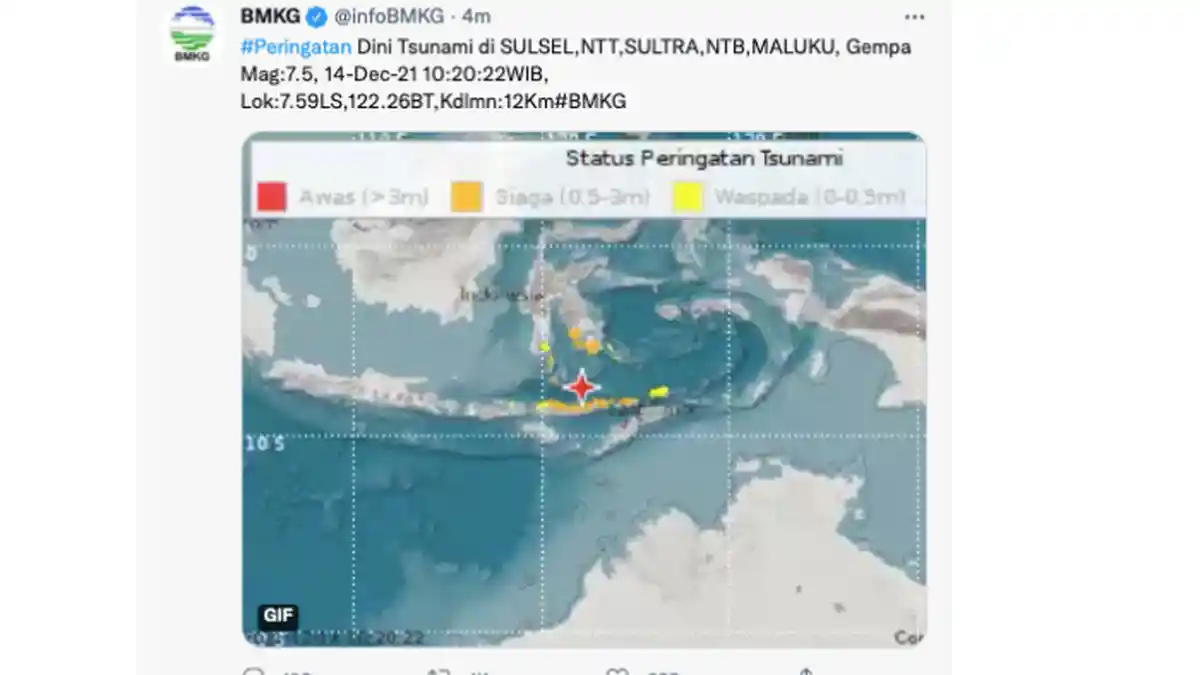BREAKING NEWS: Gempa Bumi 7,5 di Larantuka NTT Terasa di Makassar Sulsel, Waspada Tsunami