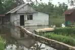 salah-satu-rumah-warga-di-desa-transmigrasi-ktm-sungai-rambutan_20161212_111811.jpg