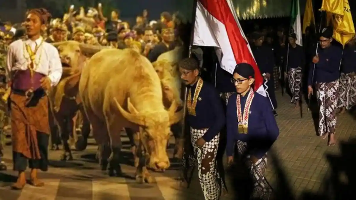 Tahun Baru Islam 1 Muharram 1441 H - Ini 5 Tradisi Unik di Jateng, Kirab Kebo hingga Mubeng Beteng