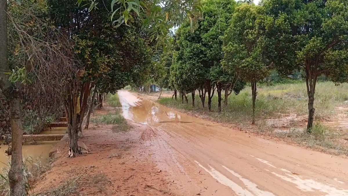 VIDEO -  Lumpur Tebal Genangi Jalan ke Kantor Camat Nongsa Pasca Banjir