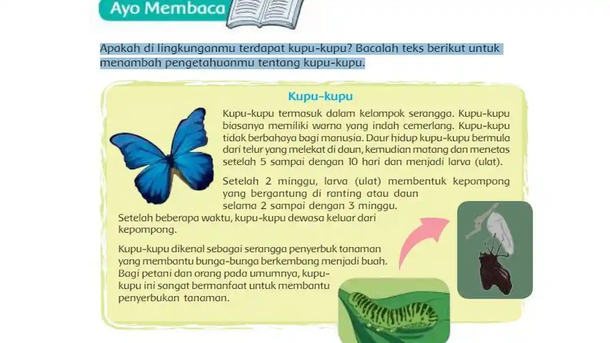 Kunci Jawaban Tema 3 Kelas 4 SD Halaman 51 dan 52 Buku Tematik Subtema 2 Pembelajaran 1