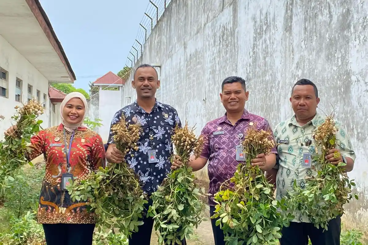 Manfaatkan Lahan Sempit, Rutan Soasiu Tidore Kepulauan Maluku Utara Panen Kacang dan Tomat